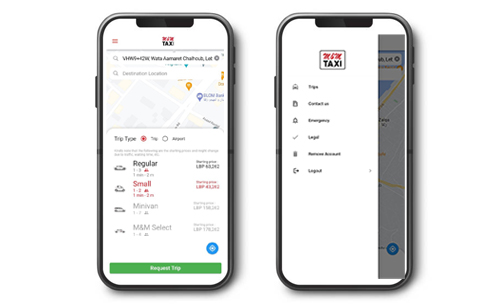 Mobile app development